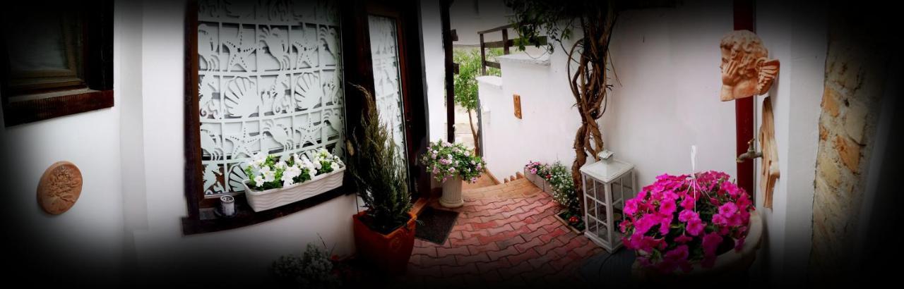 Villa Casa Fotografului à Constanţa Extérieur photo
